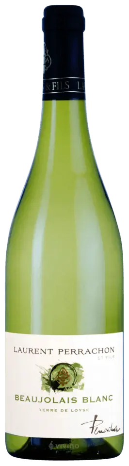 Beaujolais Blanc Terre de Loyse Laurent Perrachon